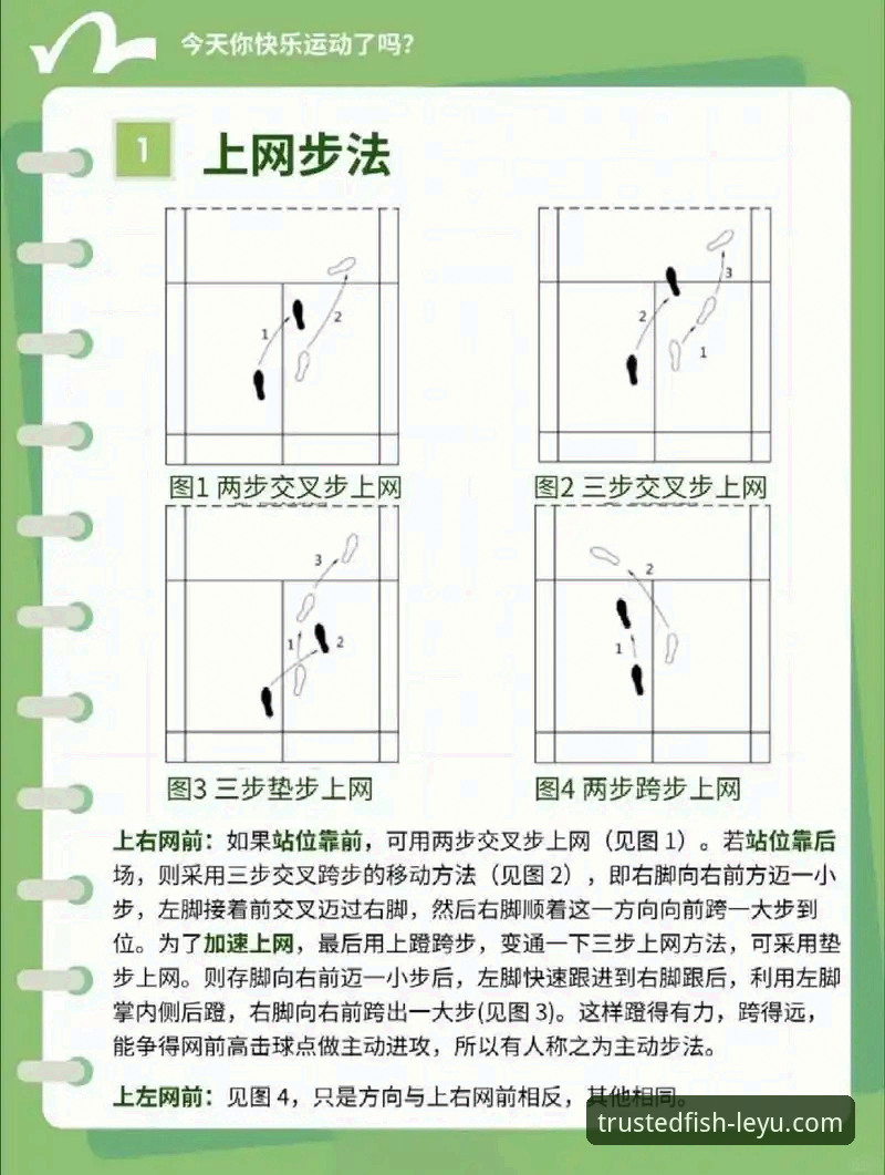 新手必看！乐鱼体育支持攻略的5个关键技巧