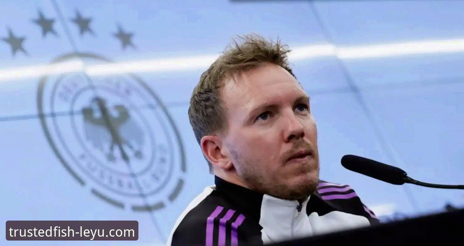 奥地利5-1大胜加纳：一场友谊赛背后的战术深度解析与观赛体验思考